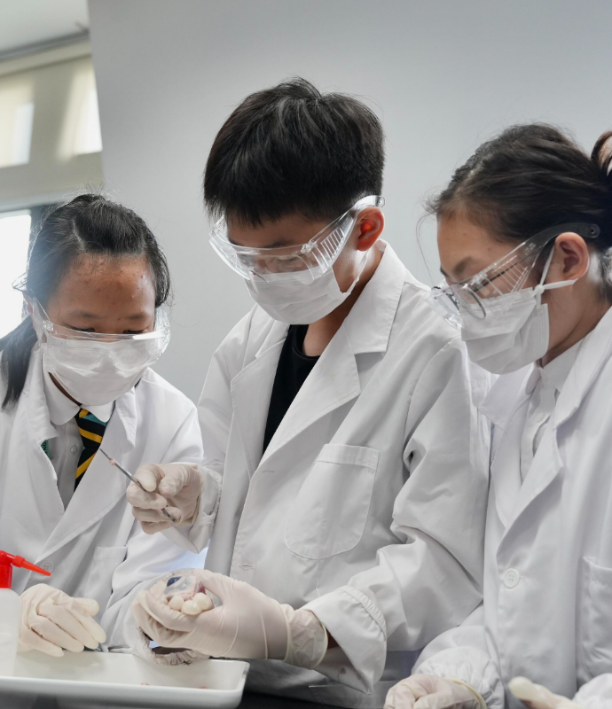 欢迎访问惠灵顿教育集团旗下学校-上海浦东新区民办惠立学校官网,了解学校最新信息。