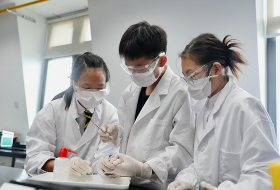 欢迎访问惠灵顿教育集团旗下学校-上海浦东新区民办惠立学校官网,了解学校最新信息。