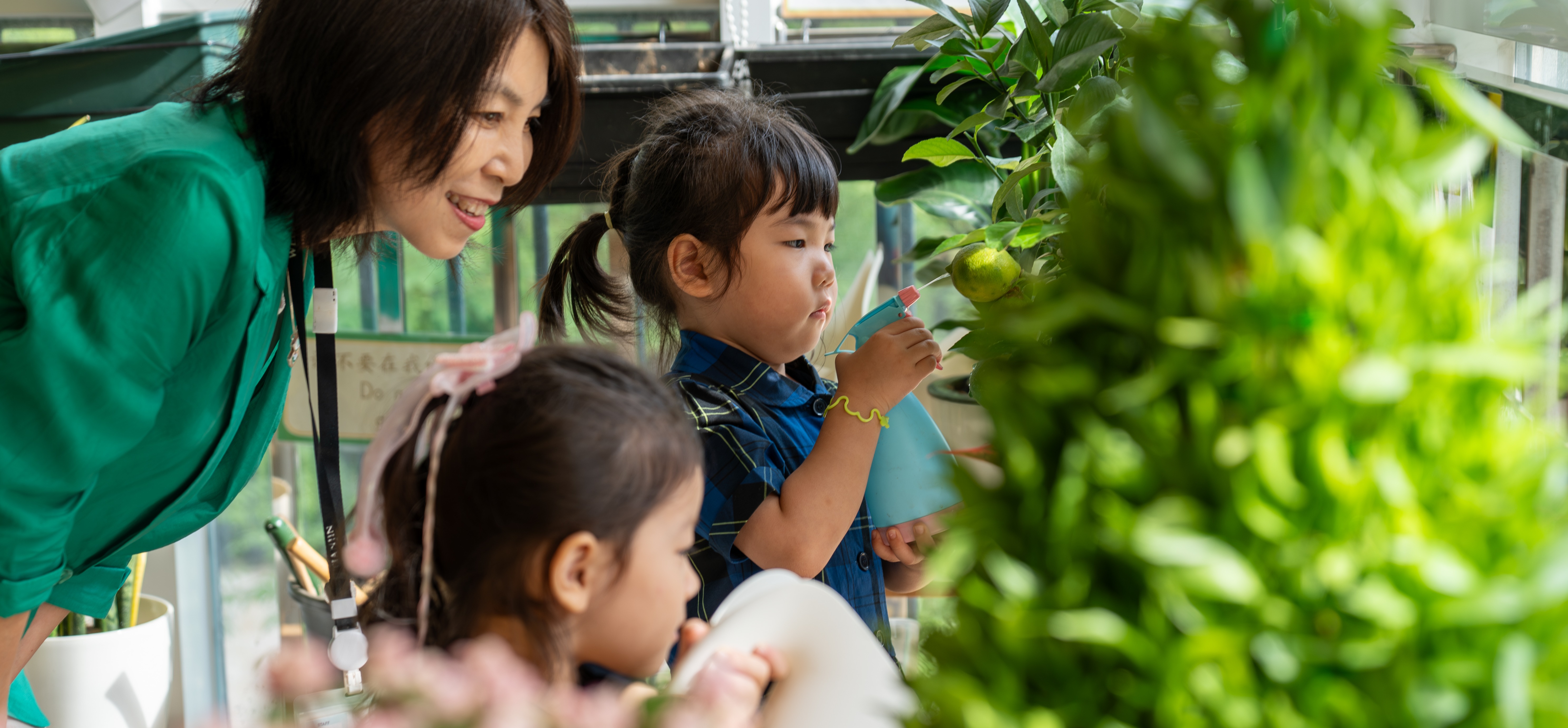 欢迎访问惠灵顿教育集团旗下学校-天津惠灵顿外籍人员子女学校官网，了解学校最新信息。