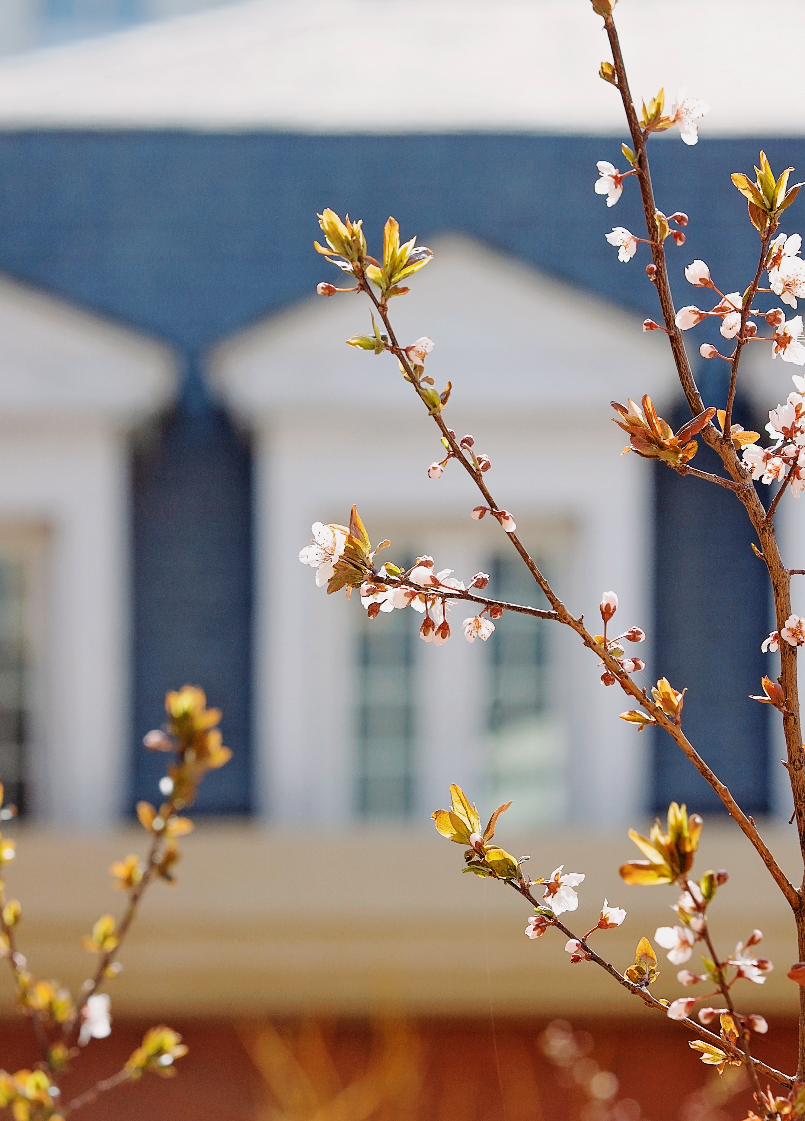 欢迎访问惠灵顿教育集团旗下学校-天津惠灵顿外籍人员子女学校官网，了解学校最新信息。