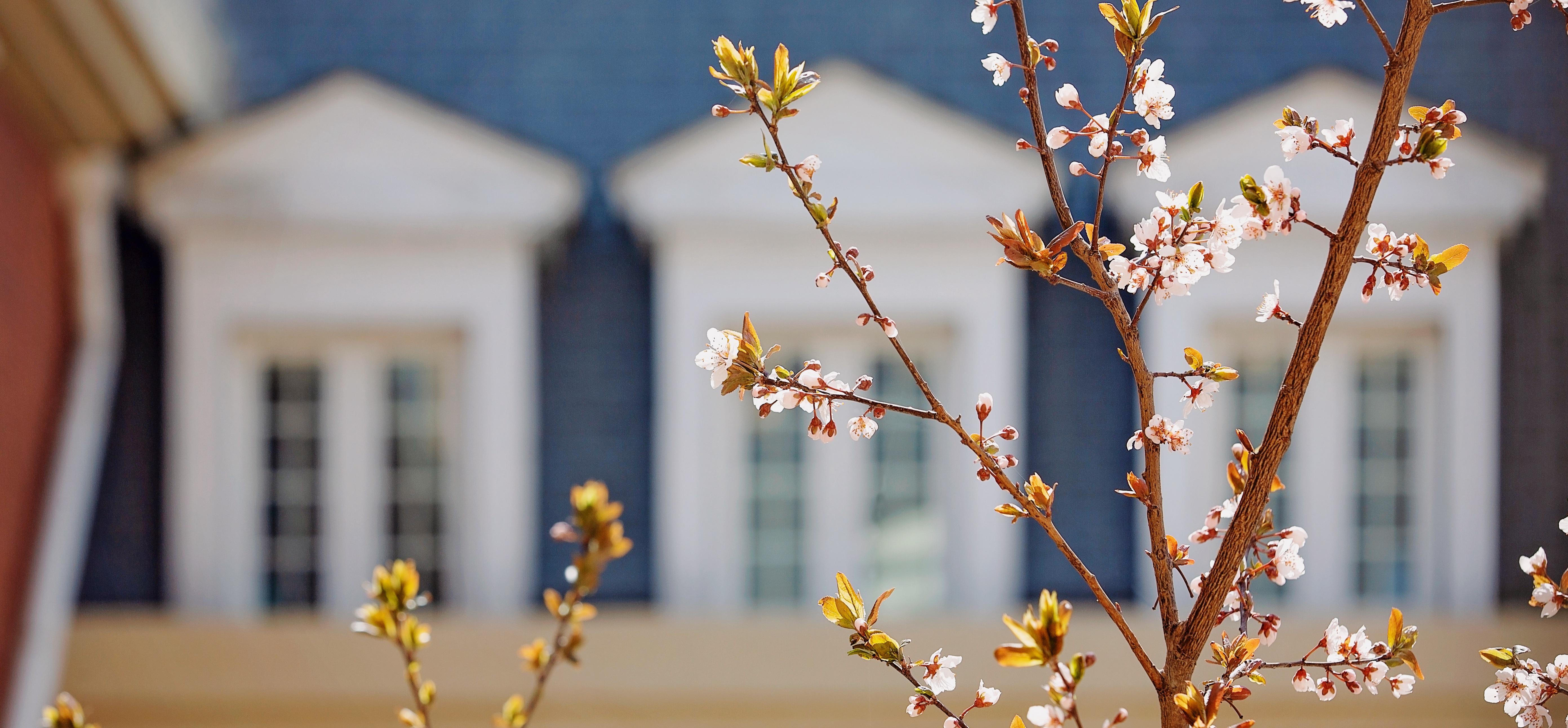 欢迎访问惠灵顿教育集团旗下学校-天津惠灵顿外籍人员子女学校官网，了解学校最新信息。